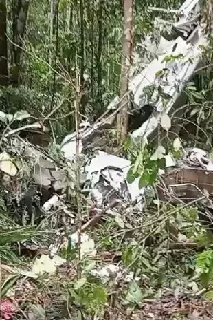 恐怖飞机坠毁后,失踪飞行员和乘客的尸体在亚马逊被发现