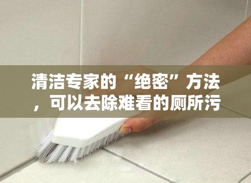 清洁专家的“绝密”方法，可以去除难看的厕所污渍